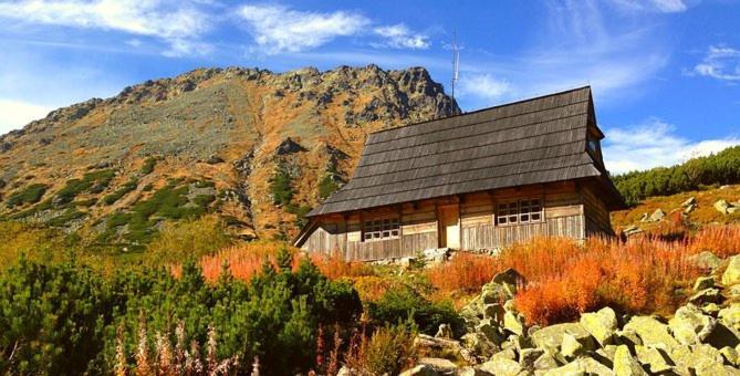 A3Apartament 2 Pokojowy Aneks Kuchenny 2 Lazienki Wlasne Na Korytarzu Villa Jumper Pobyt Na Termach Dla 2 Osob Gratis Zakopane Esterno foto