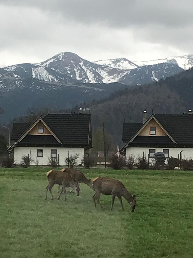 A3Apartament 2 Pokojowy Aneks Kuchenny 2 Lazienki Wlasne Na Korytarzu Villa Jumper Pobyt Na Termach Dla 2 Osob Gratis Zakopane Esterno foto