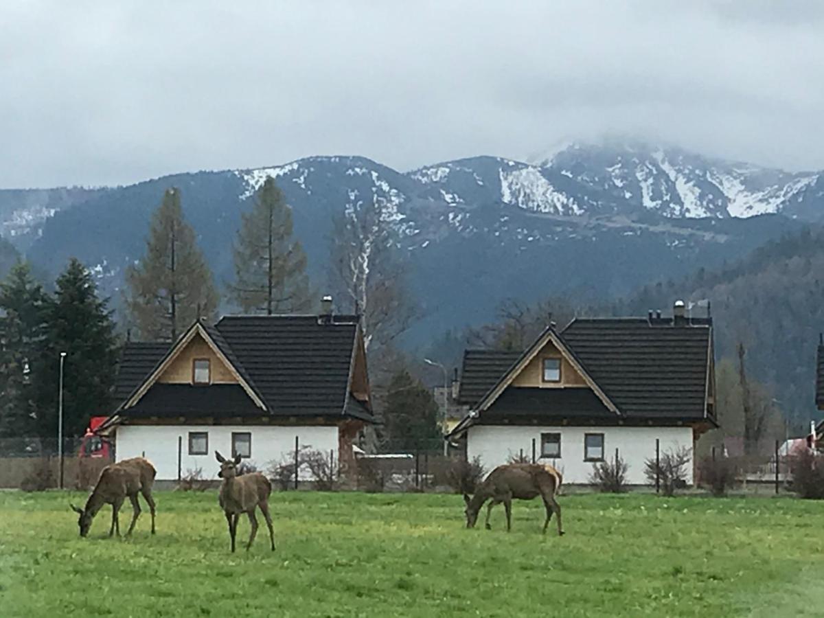 A3Apartament 2 Pokojowy Aneks Kuchenny 2 Lazienki Wlasne Na Korytarzu Villa Jumper Pobyt Na Termach Dla 2 Osob Gratis Zakopane Esterno foto